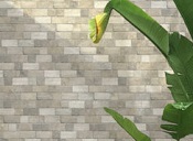 ceramiche-keradom-roma